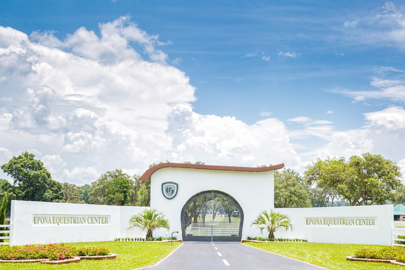 Best Dressage, hunter-jumper, driving and eventing trainer Ocala Five Phases Farm