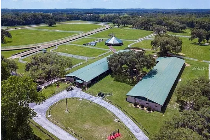 Boarding and Training Facility Near HITS Horse Show in Ocala - Five Phases Farm 352-229-7739