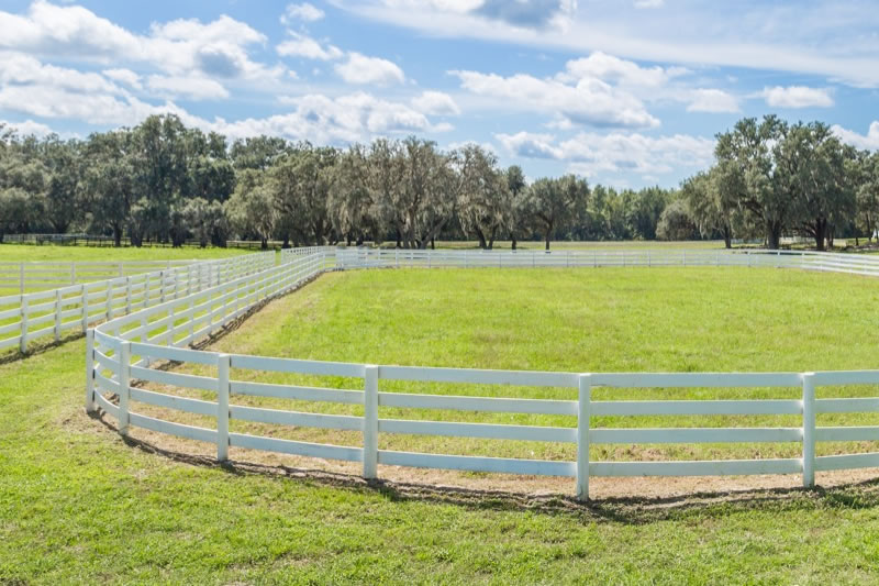 Pasture - Five Phases Farm