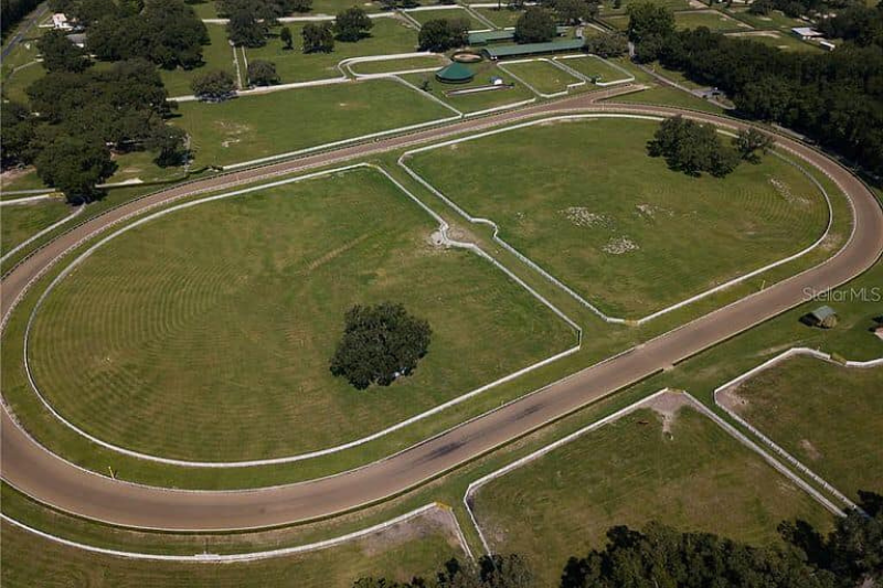 Ocala's Finest Equestrian Boarding & Training Facility