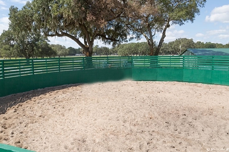 Starting young horses and using a round pen Five Phases Farm