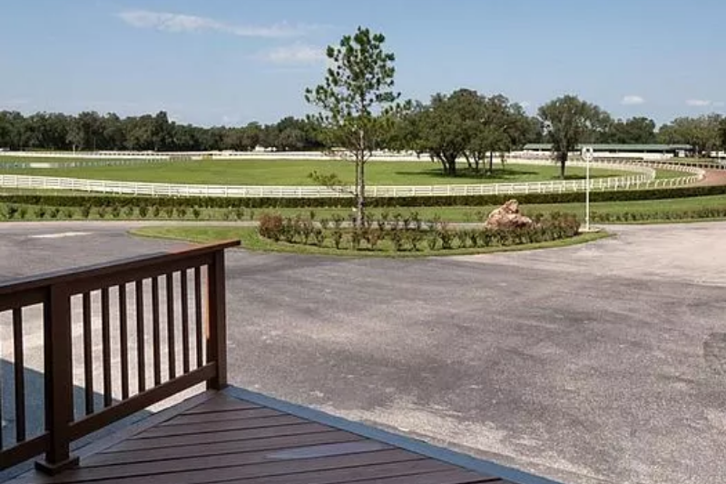 View from out door kitchen, lounge area - Equestrian Boarding and Trainig Ocala FL - Five Phases Farm