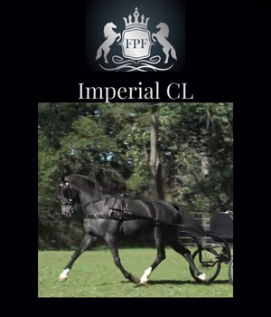 CDE Prospects for sale in PA- Five Phases Farm - Imperial CL