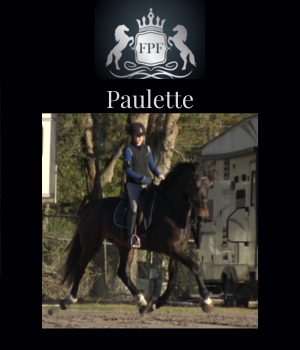 2019 Dutch Mare Paulette